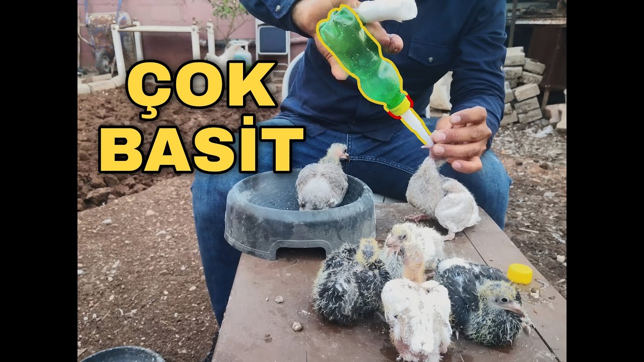 BEDAVA GÜVERCİN MAMA POMPASI YAPTIM - GÜVERCİN MAMA POMPASI NASIL YAPILIR?