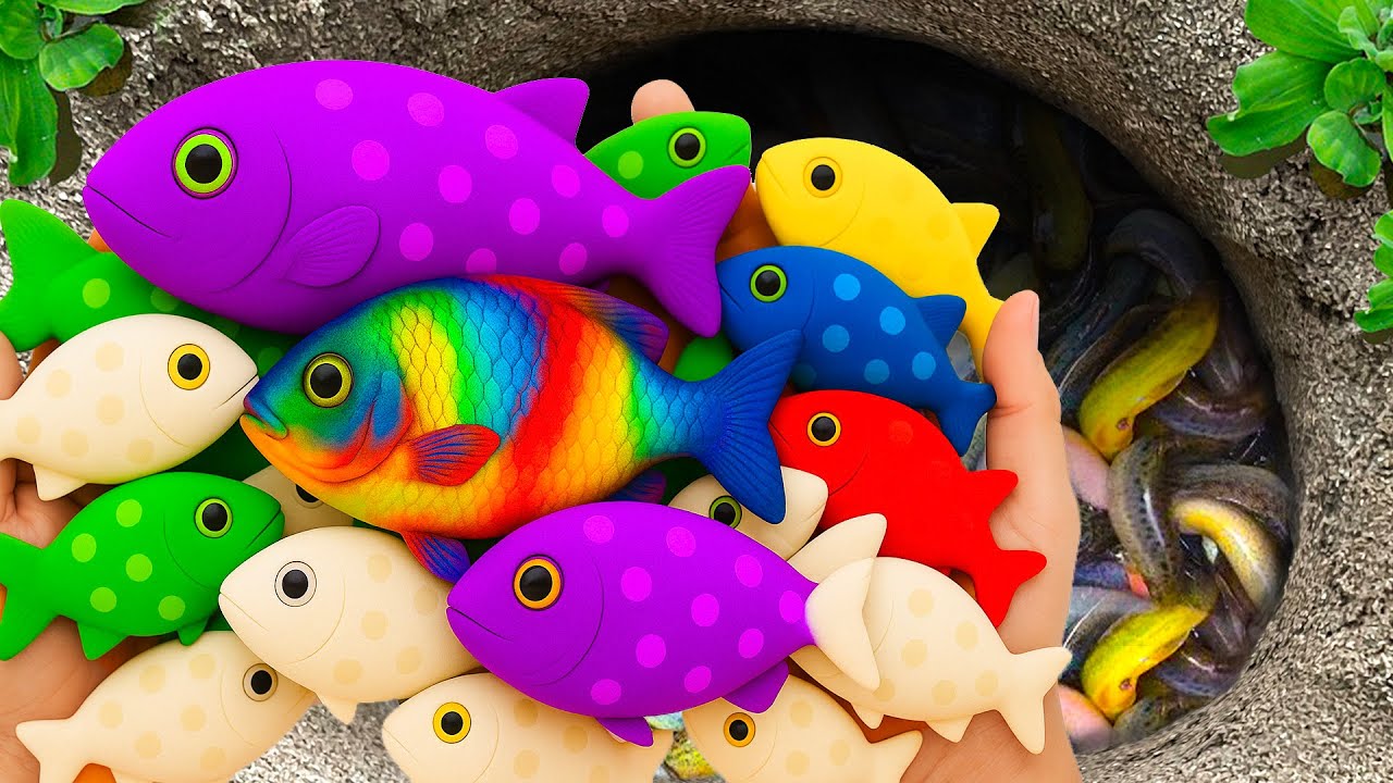 Catch Ornamental Fish in Giant Colorful Egg, Freshwater Fish, Lemon Tetra, Nemo Tiger Fish, Goldfish