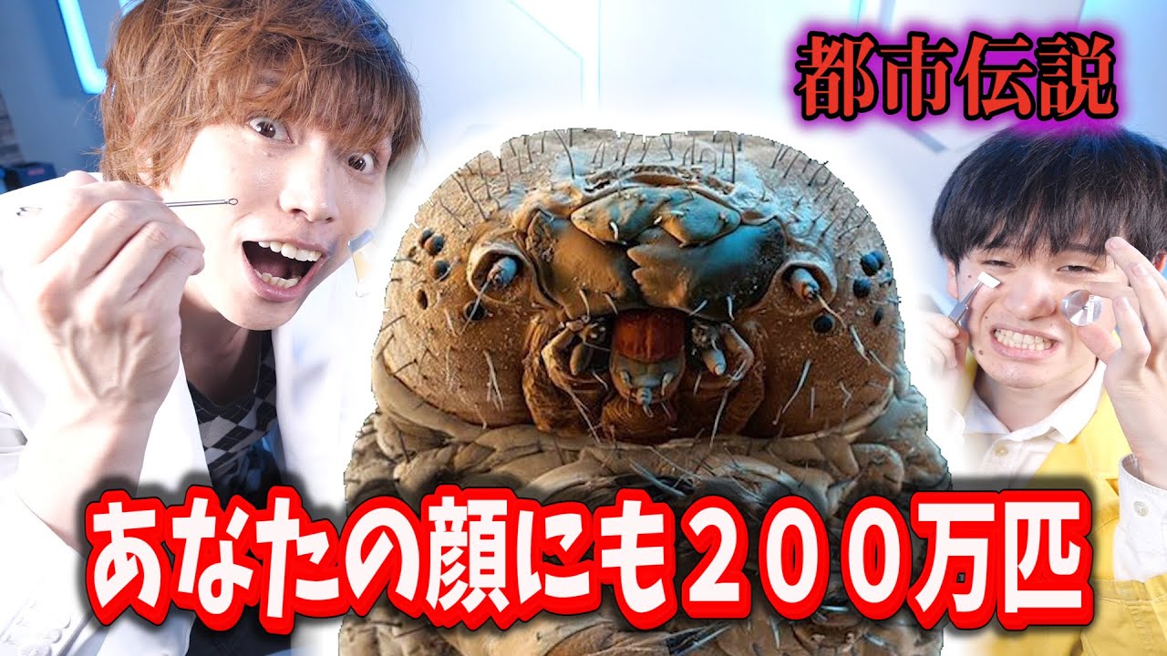 カオダニ電子顕微鏡で見れるまで帰れません！【都市伝説？】Possibility science Science challenge