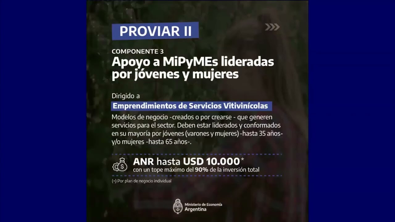 2 8 PROVIAR II