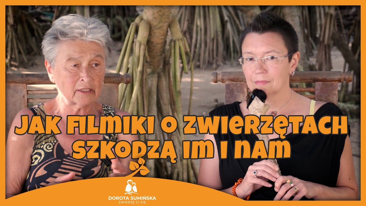 PORADNIK #41: Jak filmiki o zwierzętach szkodzą im i nam