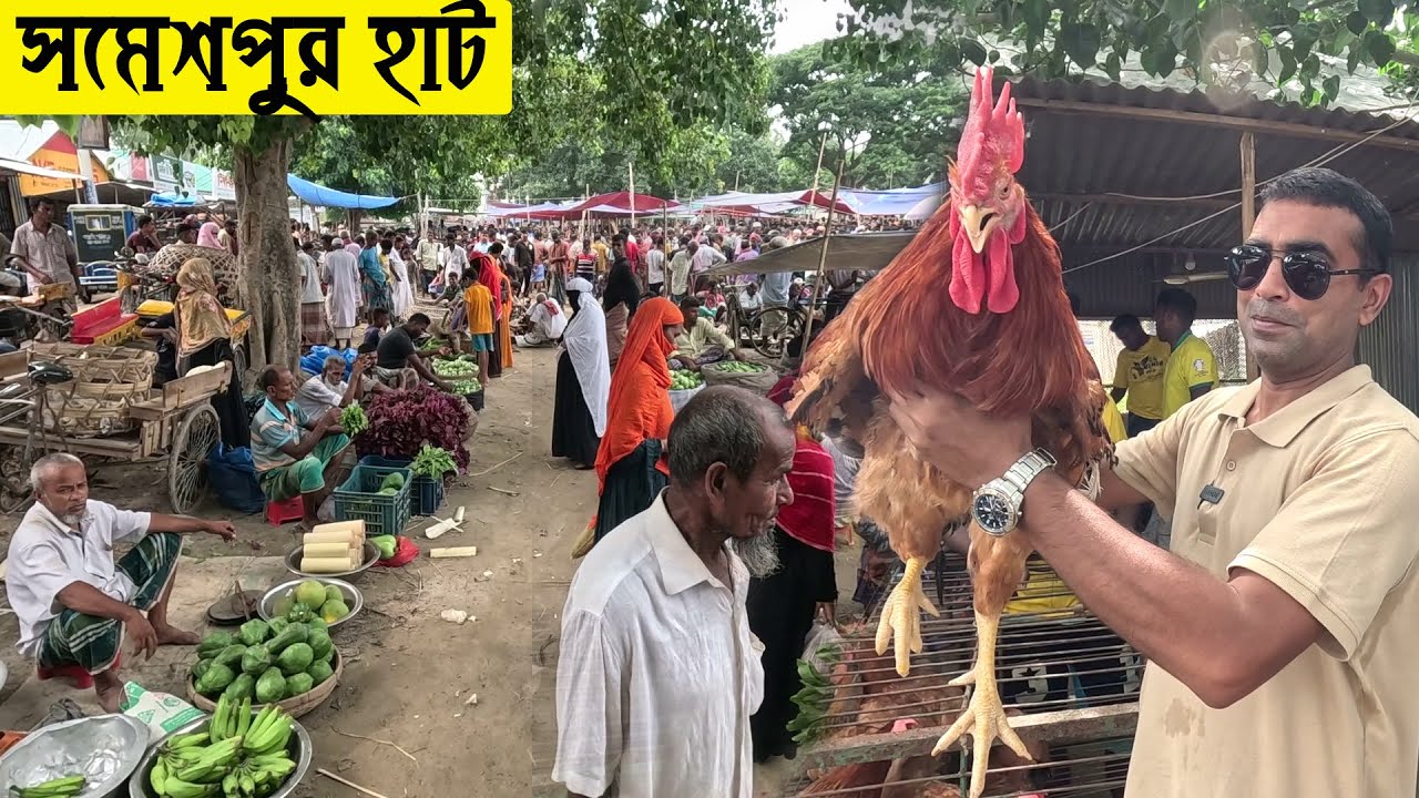 প্রচন্ড গরমের মাঝে বেলকুচির সমেশপুর হাট পরিভ্রমন | গ্রামীন হাট বাজার