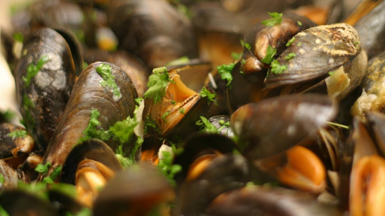 Moules frites. Muscheln in feiner Muschelwei&szlig;weinsauce.