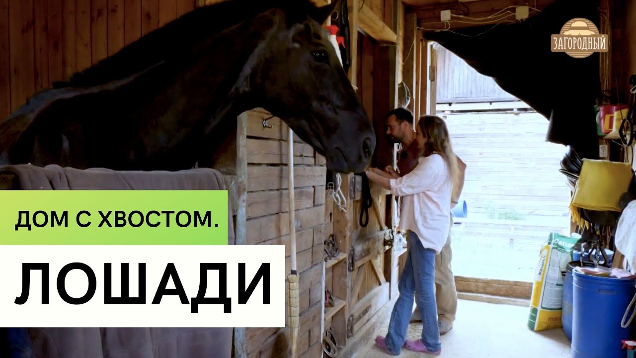 Лошади \ Содержание лошадей \ Дом с хвостом