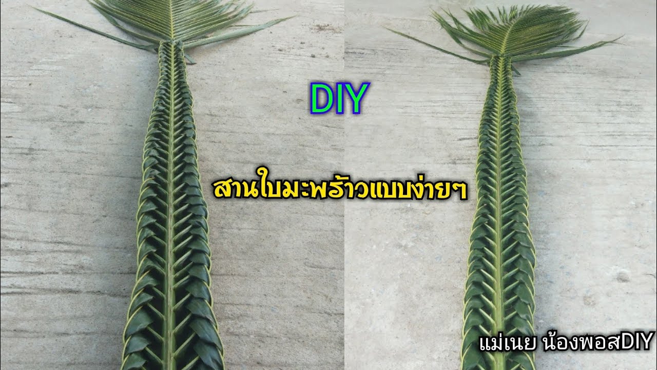 DIYวิธีสานใบมะพร้าวแบบง่ายๆbyแม่เนย l แม่เนย น้องพอสDIY