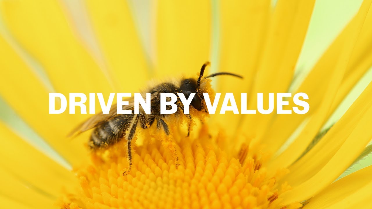 Driven by Values | MaRS Discovery District