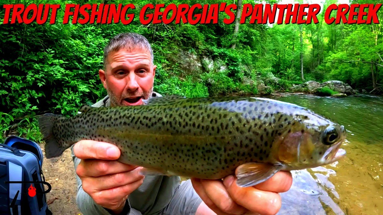 Trout Fishing Georgia's Panther Creek