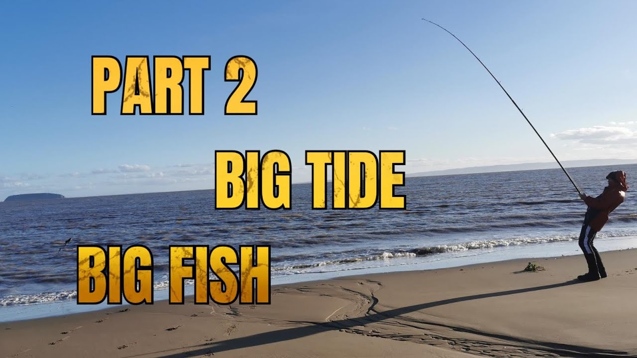 Part 2 - BIG TIDE …… BIG FISH