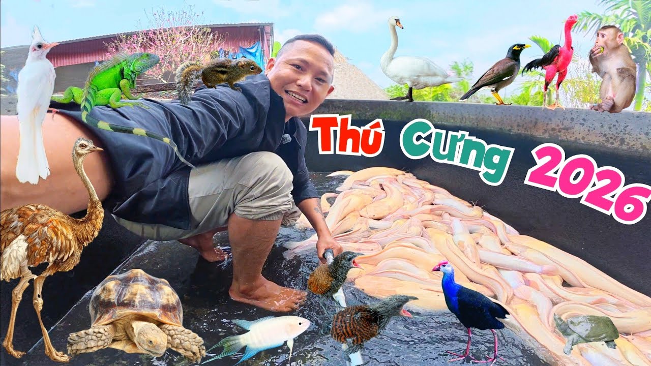 Tổng Hợp Tất Cả Thú Cưng Của Quế Nghịch 2026 Có Những Con Gì / Quế Nghịch