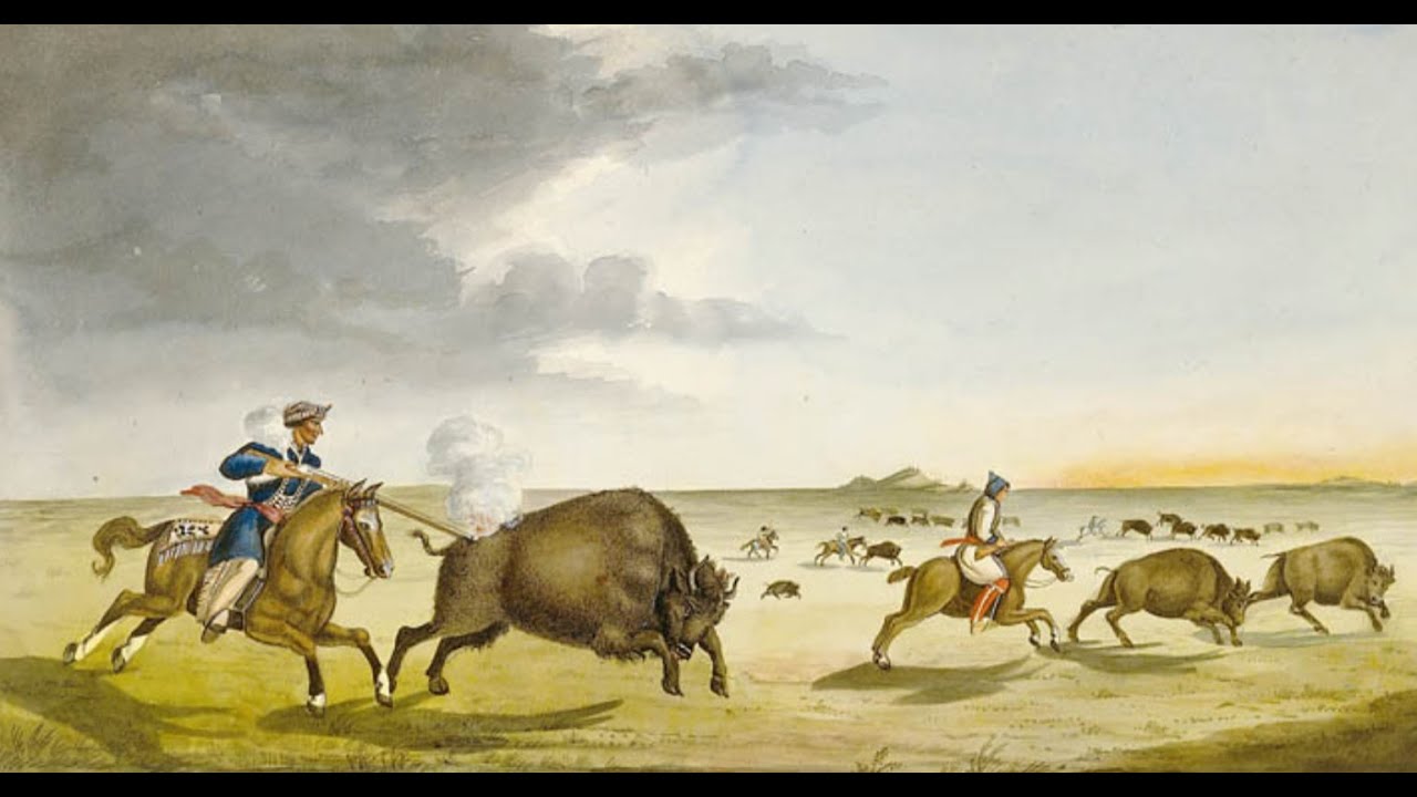 Canada's Buffalo Hunters: The M&eacute;tis
