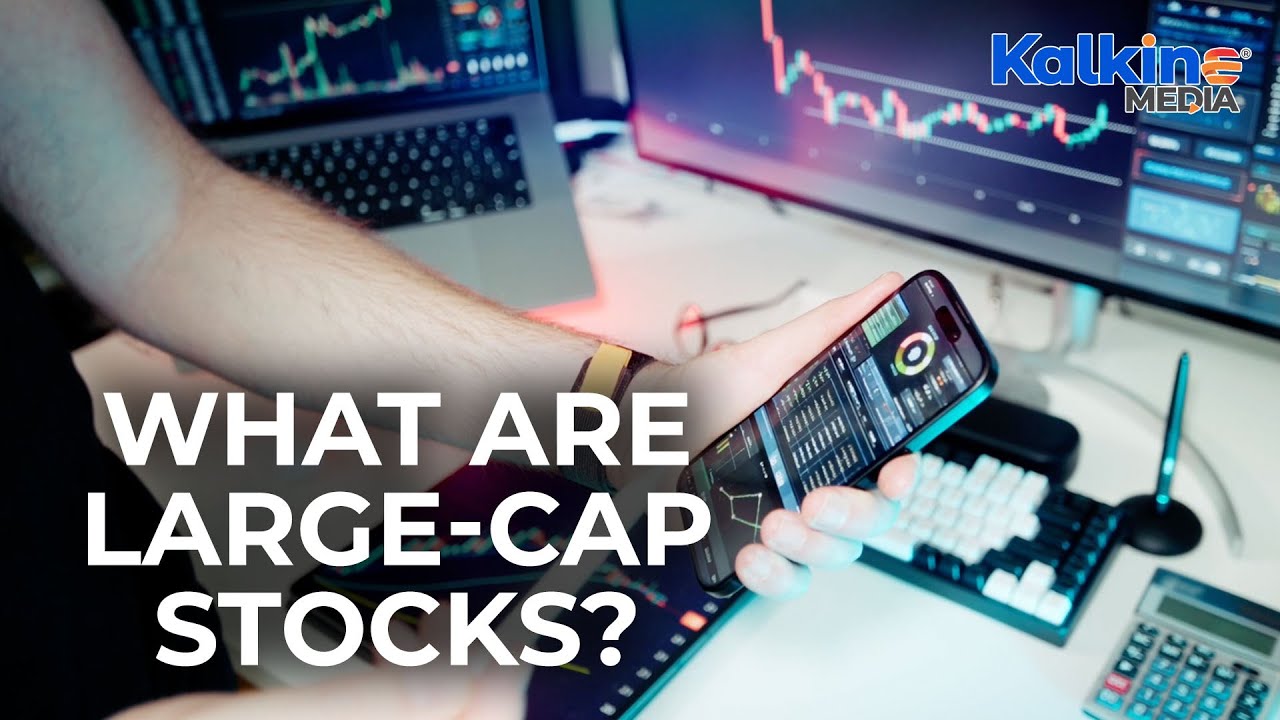 What are large cap stocks?
