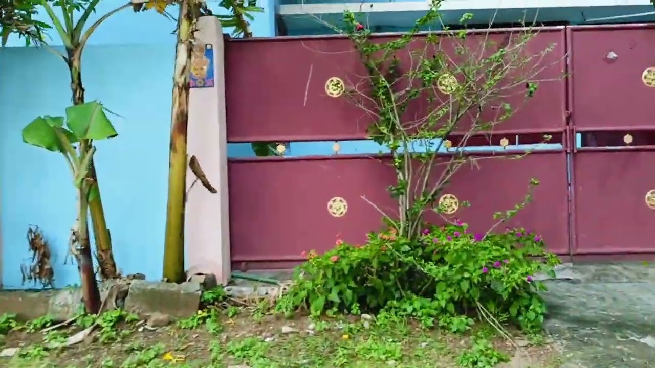 PARVATHIPURAM: ( kaliyankadu ) - Total : 3 Cent, 16 feet Road 🔔 Call: 8825486622.🏡🌴