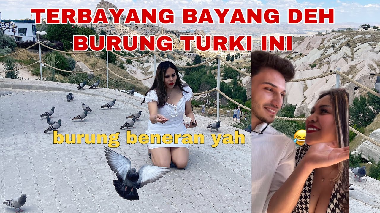 BURUNG TURKI THE BEST 😂 rawrrr 🌶