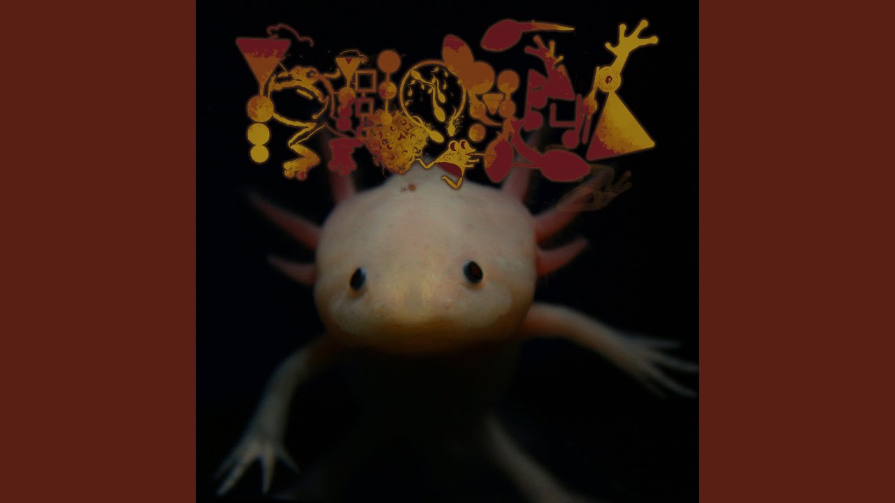 Shrinking... Shriveling...