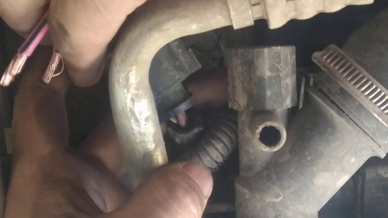 prueba de activación al ventilador de beetle