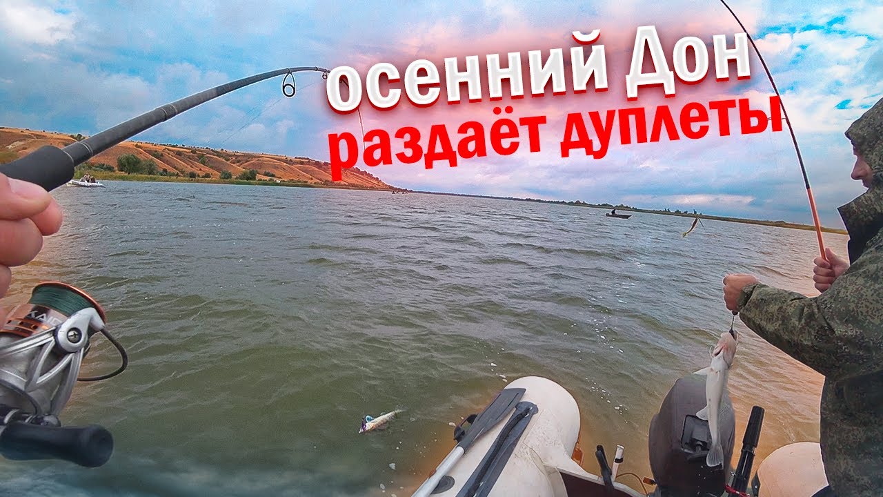 ВО ДАЁТ! КАЖДЫЙ ЗАБРОС! Рыбалка на Дону! Рыбалка на судака осенью!