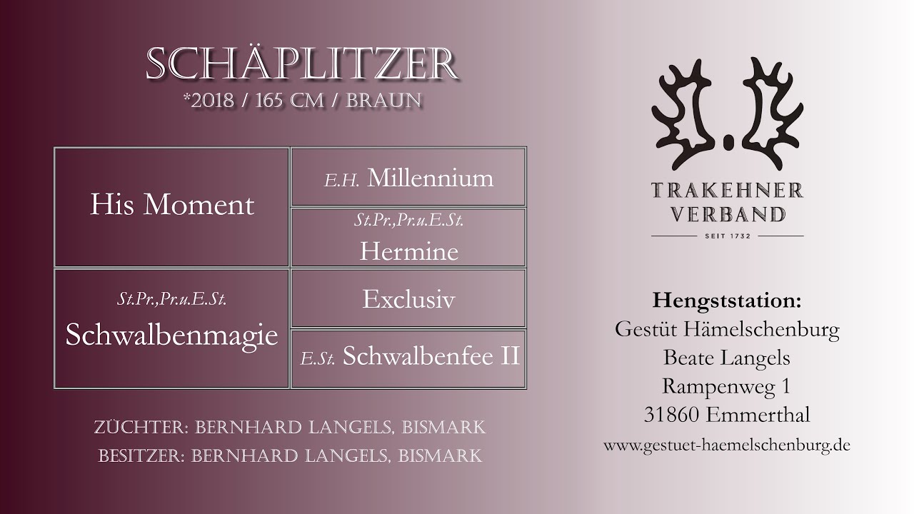 Schäplitzer