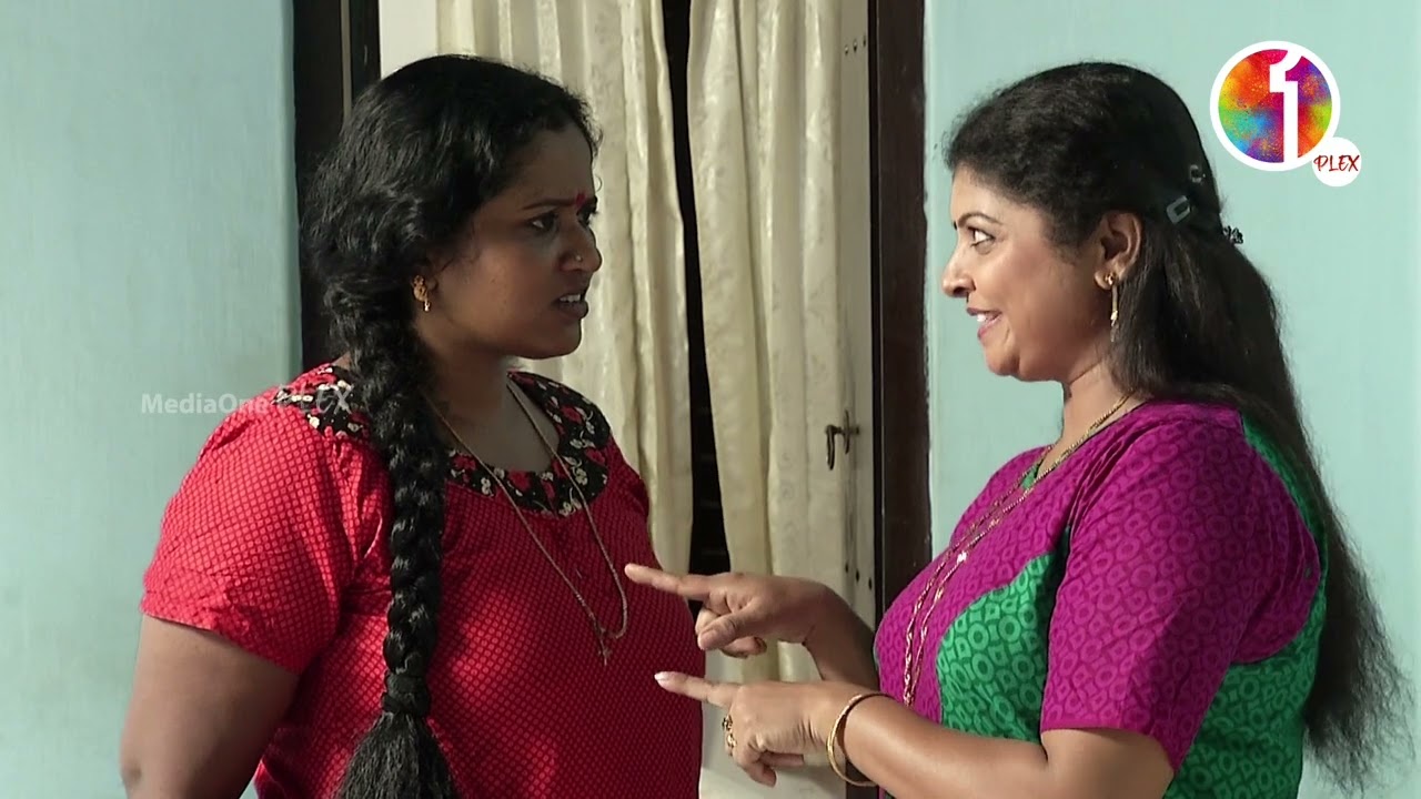 'ആലീസേച്ചീ നിങ്ങള് മെട്രോയില്‍ നിന്നാല്‍ ആള് കൂടും കെട്ടോ'| Kunnamkulathangadi
