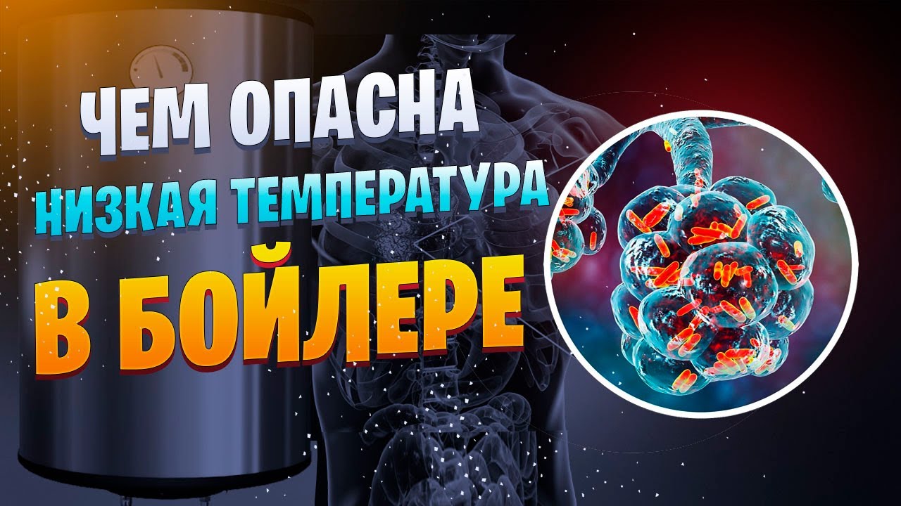 Почему нельзя эксплуатировать бойлер на низкой температуре.  Легионелла чем опасна, как бороться