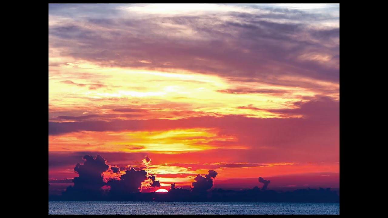 CARLIGHTS - Fort Lauderdale Dream
