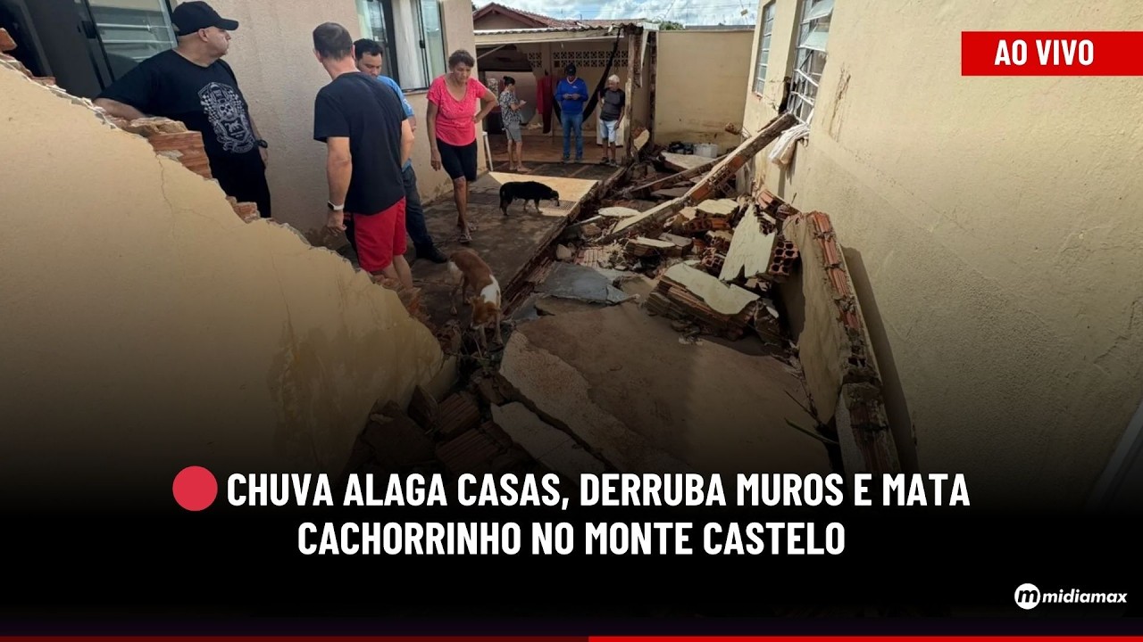 🔴 Chuva alaga casas, derruba muros e mata cachorrinho no Monte Castelo