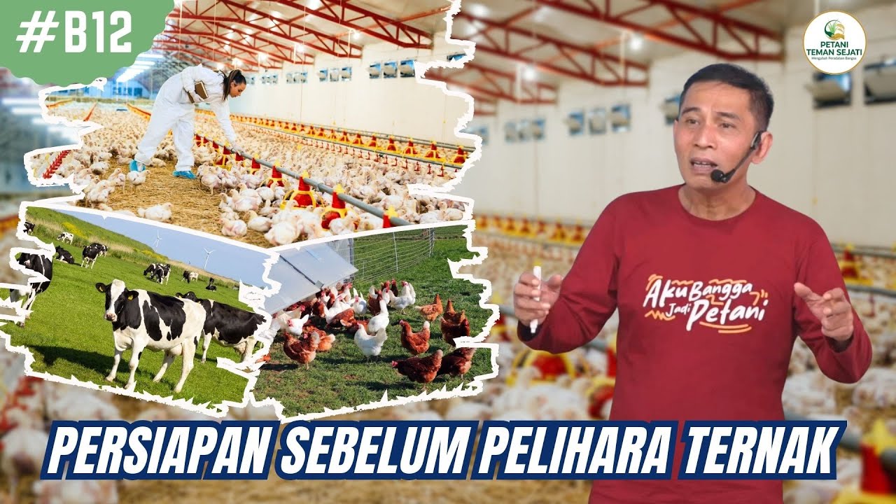 Wajib Siapkan ini Sebelum Pelihara Ternak !!