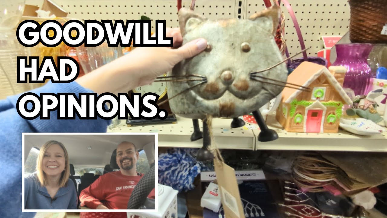 I Had a Thrift List — But Goodwill Had Opinions!