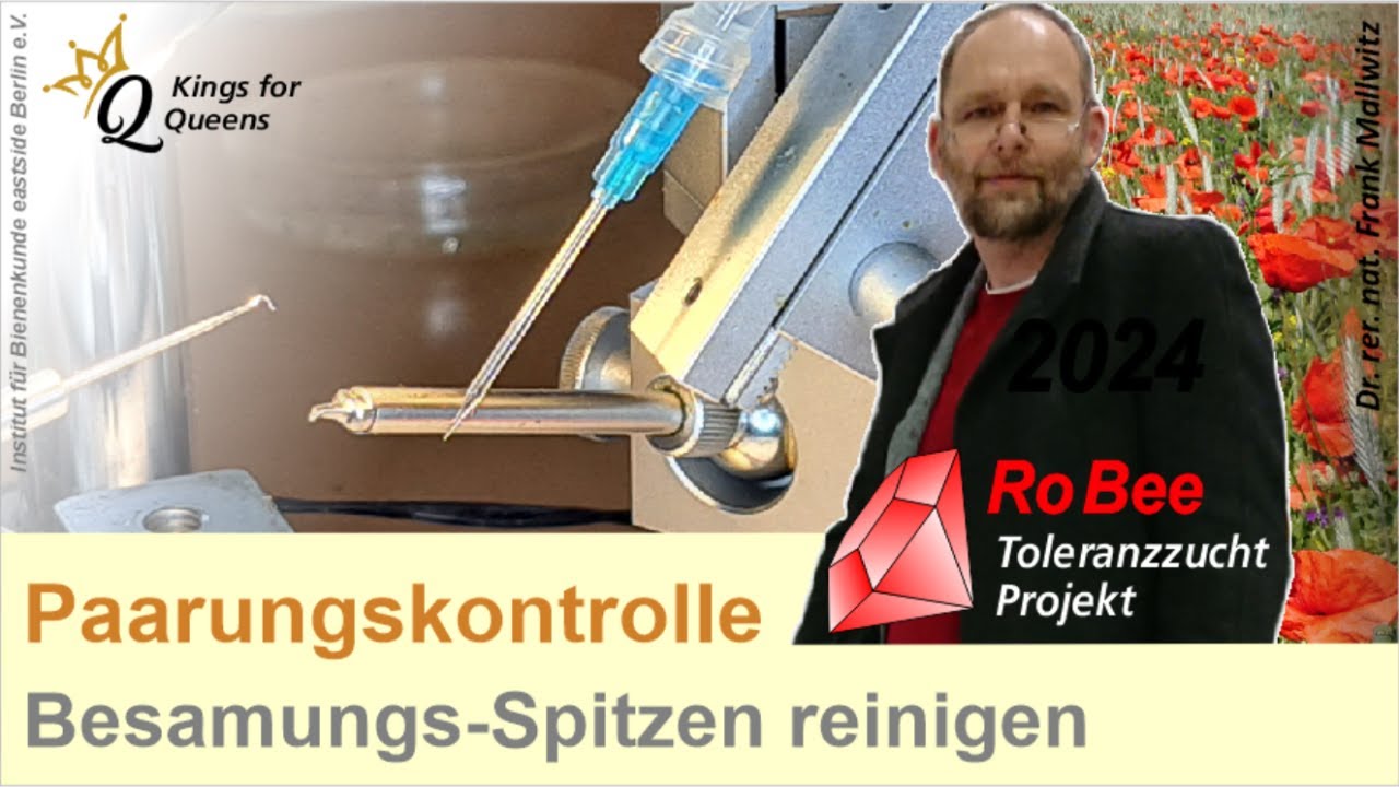 BienenKöniginnen - Arbeiten nach der instrumentellen Besamung