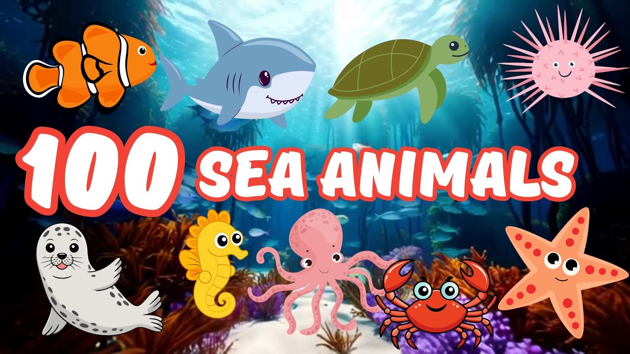 Давайте узнаем 100 удивительных морских существ! 🐠 Забавное обучающее видео об океане