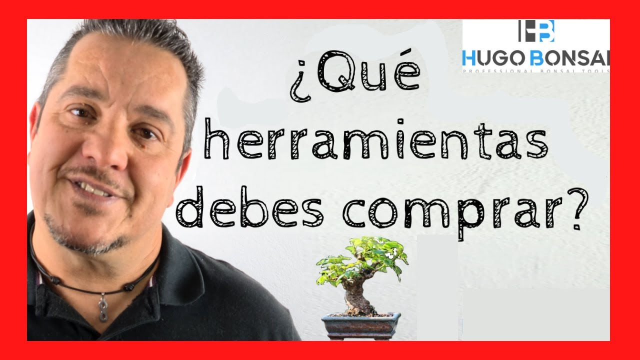РАСПАКОВКА HUGO BONSAI ИНСТРУМЕНТЫ РАСПАКОВКИ BONSAI ✅