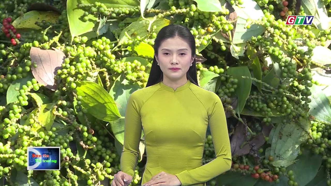 Bản tin thị trường 01-02-2026
