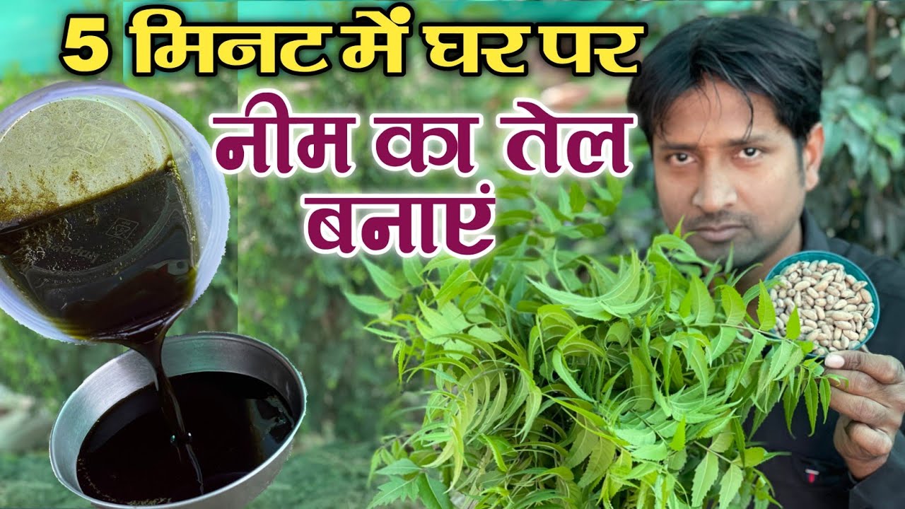 5 मिनट में घर पर नीम का तेल बनाएं | Neem Oil Making For Plants | Neem Ka tel Kaise banaen