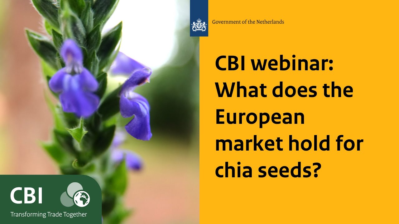 Webinar: What does the European market hold for chia seeds?