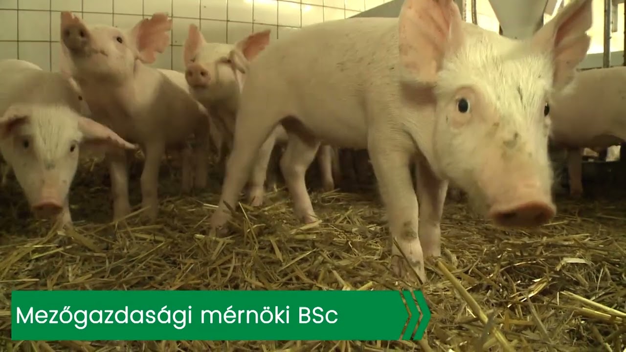 A MATE Georgikon Campus agrármérnök osztatlan, mezőgazdasági mérnök és Növényorvos MSc képzései