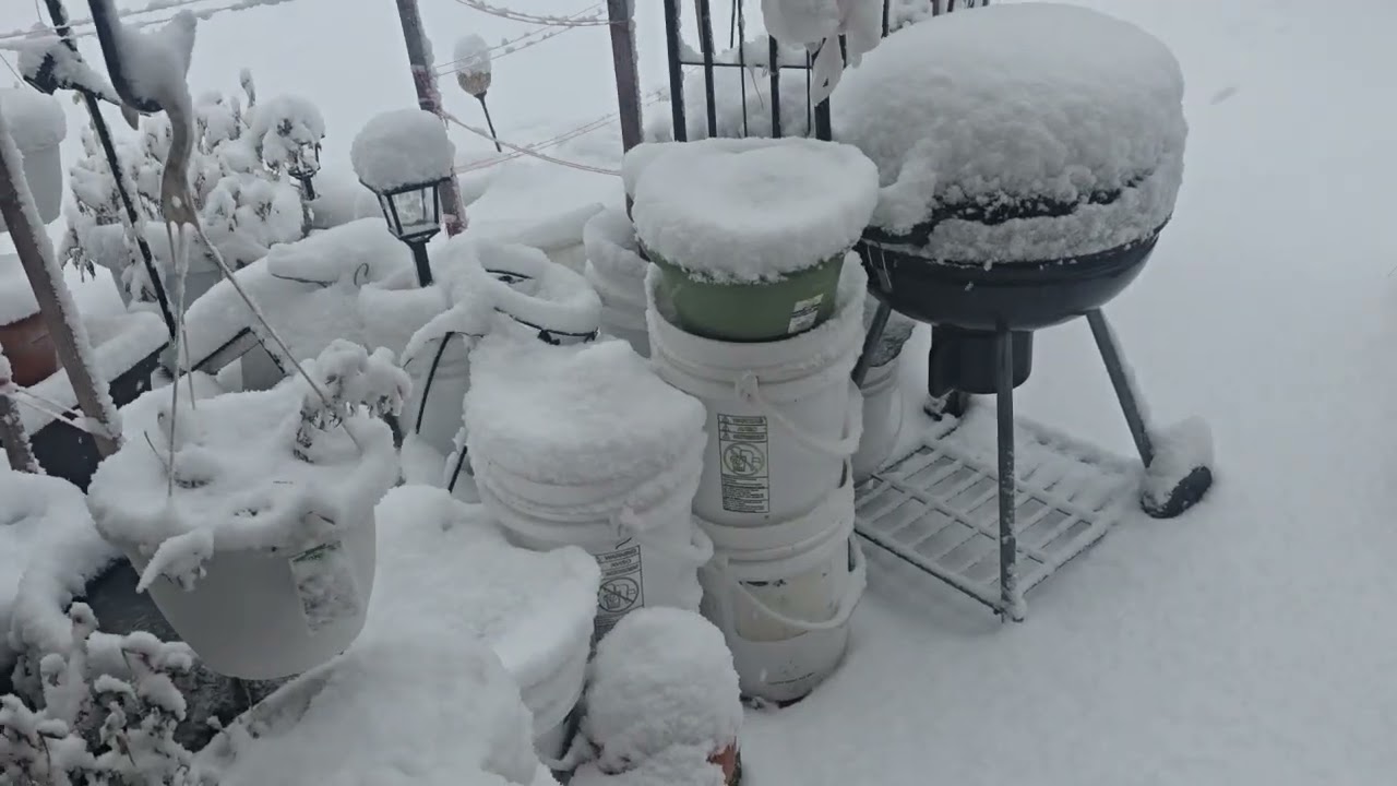 AMANECIO CALLENDO MUCHA NIEVE  🌬☃️❄️🌨 EN ESTE ESTADO CAE MUCHA NIEVE Y MUCHO FRIO EN EL INVIERNO