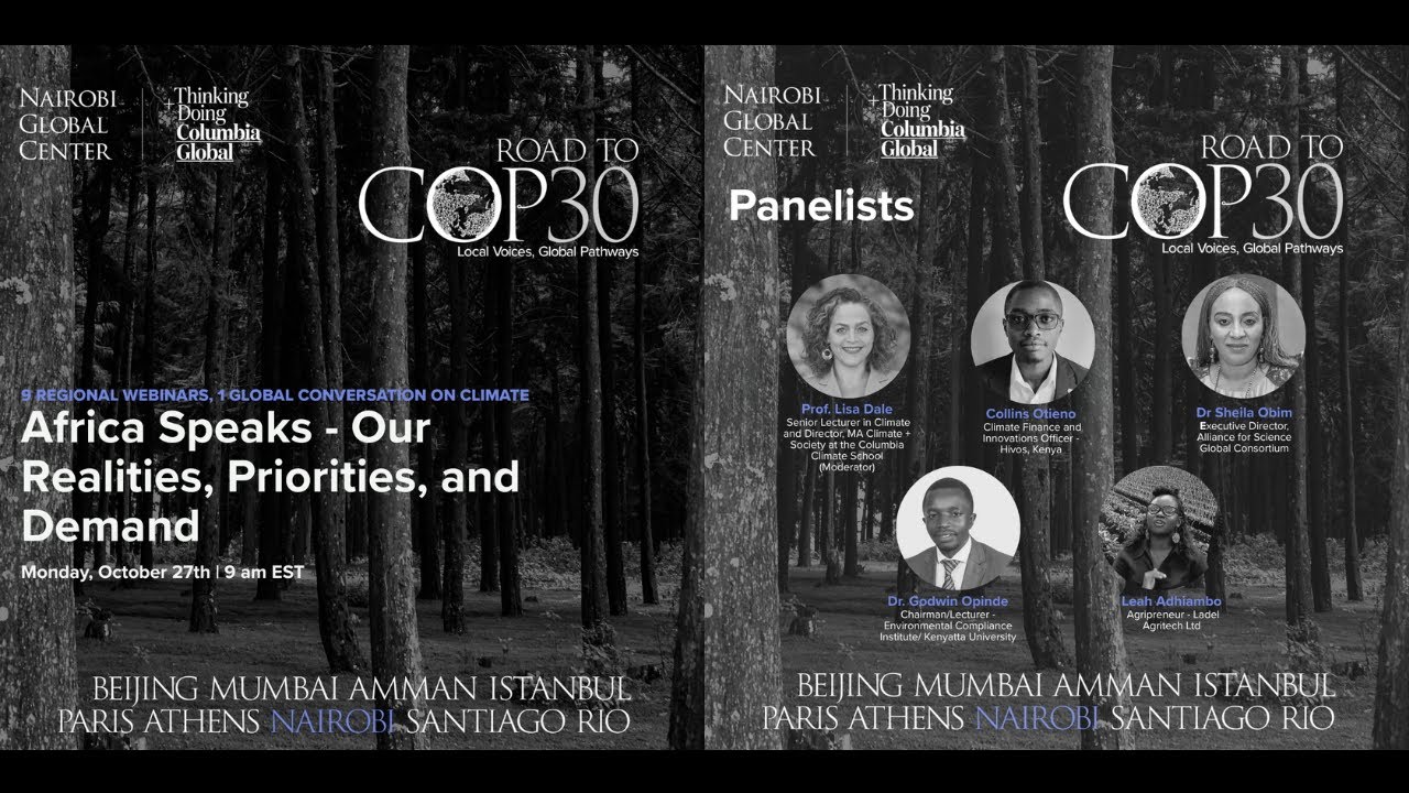 Road to COP30: Africa Speaks - Our Realities, Priorities, and Demands