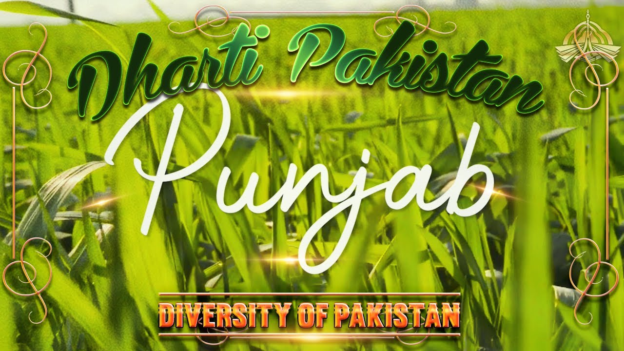 Dharti Pakistan | Punjab Culture In Urdu | Punjab Culture And Tradition | Cosmic Creations