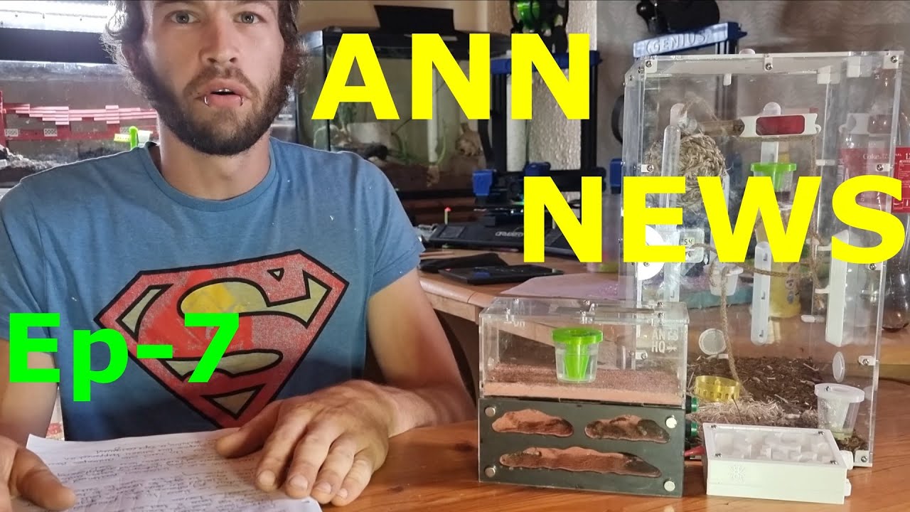 ANN News Ep-7 - Ant News Network News