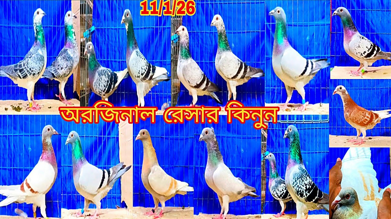 #কম