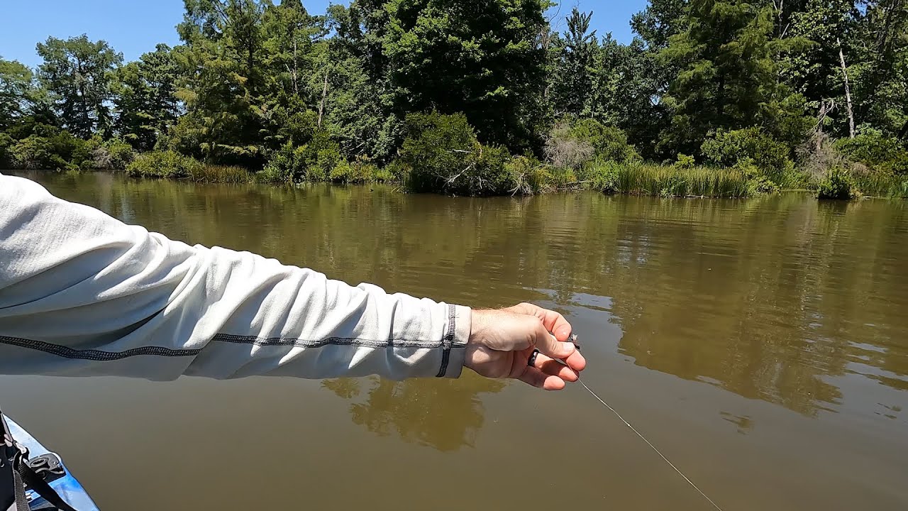This easy to find dry fly catches huge grass carp!