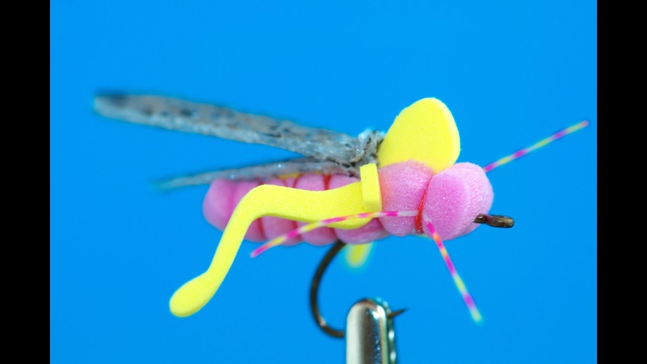 Shark Taco Hopper - Fly tying lesson video tutorial by Curtis Fry