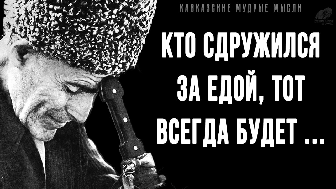Короткие, но очень мудрые Кавказские пословицы и поговорки! | Цитаты, афоризмы, мудрые мысли