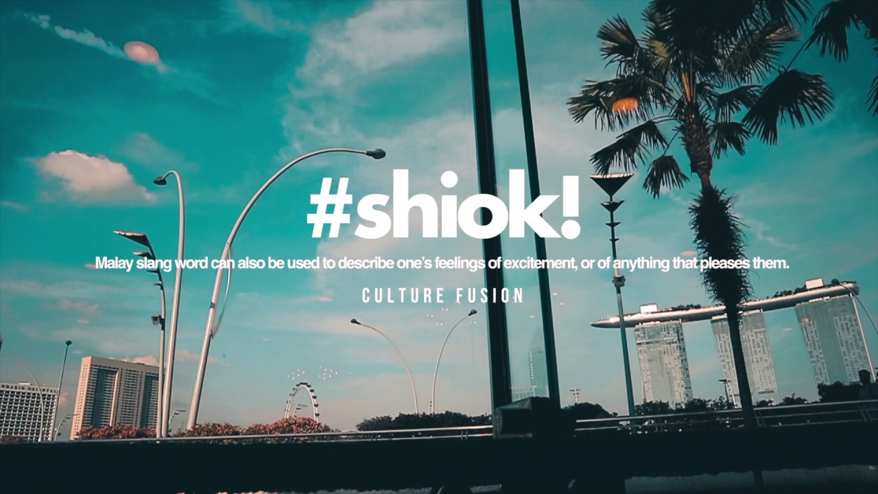 Culture Fusion of Singapore