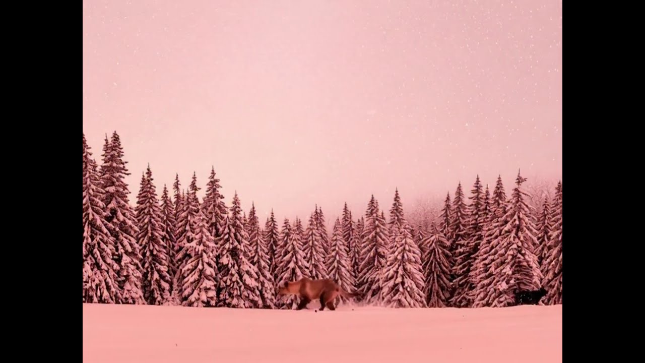 ❄️ Peaceful Snowfall Ambience | Relaxing Winter Sounds for Deep Sleep & Stress Relief