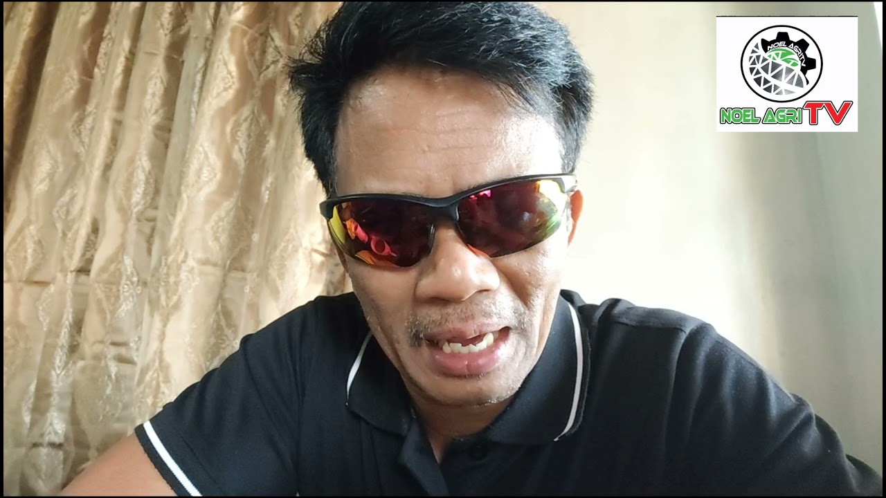 Sulosyon sa peste sa Palayan, gaya ng stem borer at atangya