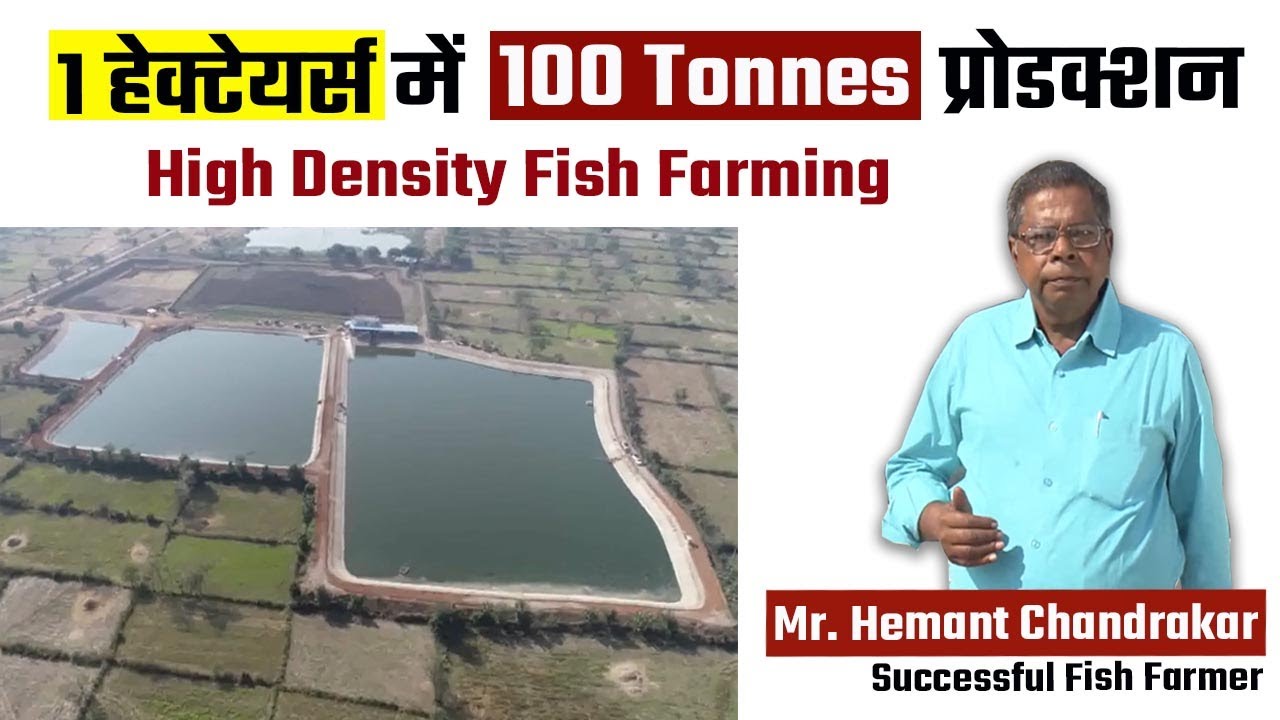 Mr. Hemant Chandrakar - High Density Fish Farming | Per hectare 100 Tonnes Production 