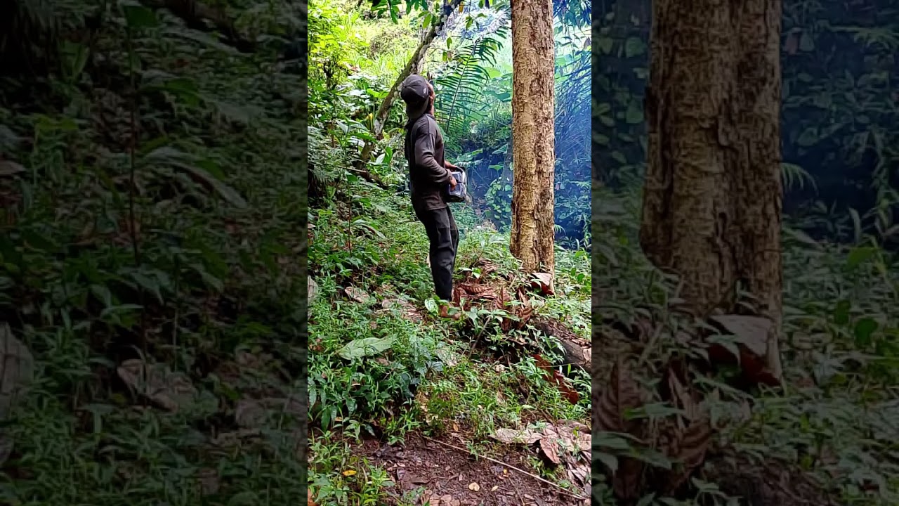 Kayu kecil tapi berisi dan kerasss