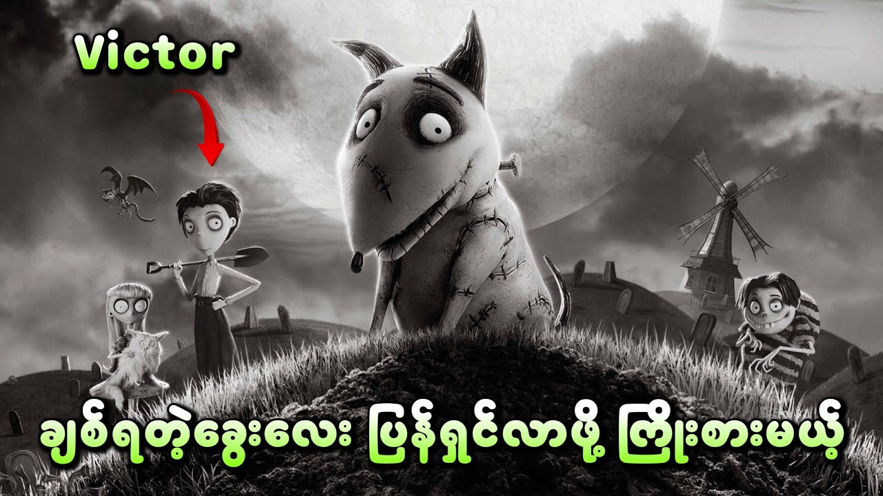ချစ်ရတဲ့ခွေးလေး အသက်ပြန်ရှင်လာဖို့ ကြိုးစားမယ့် Victor 