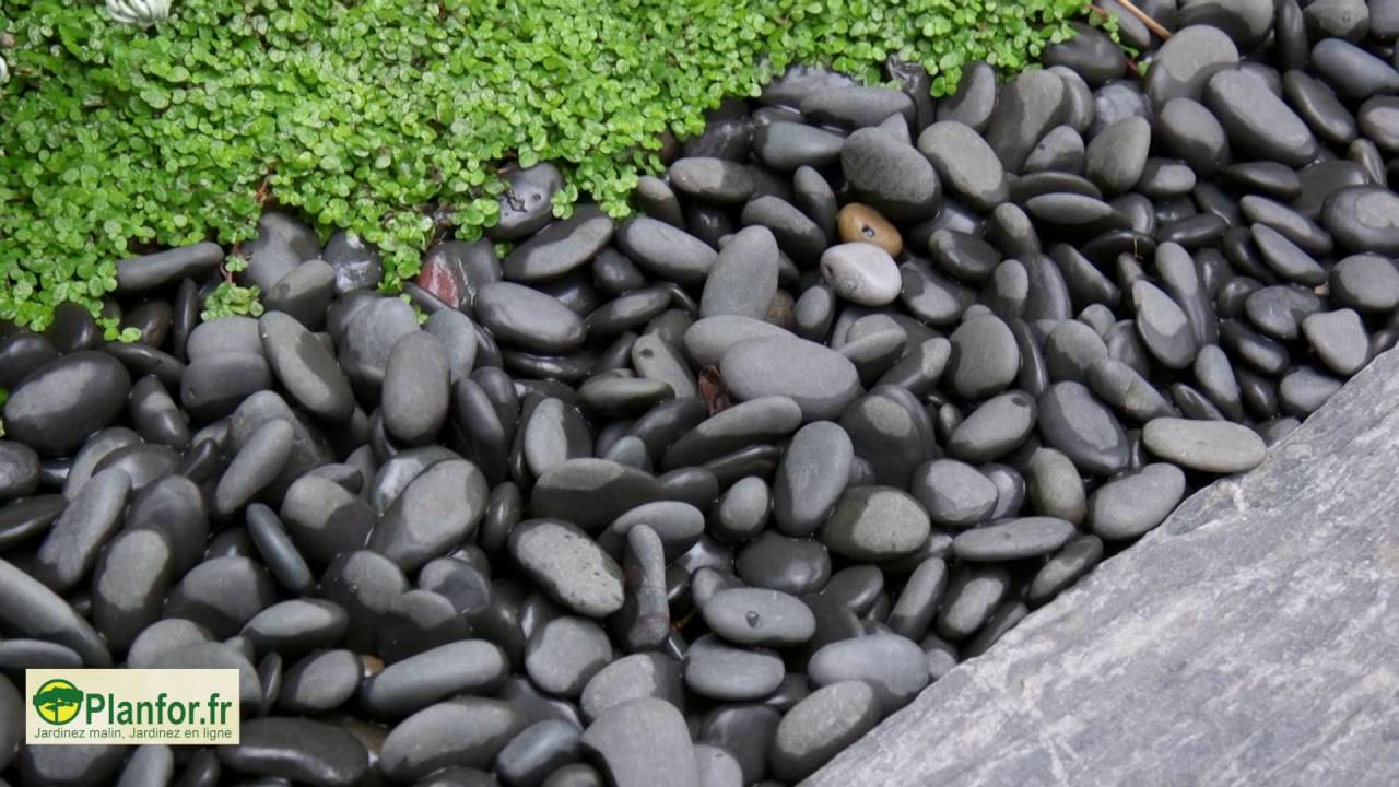 Un jardin japonais contemporain dans un petit espace