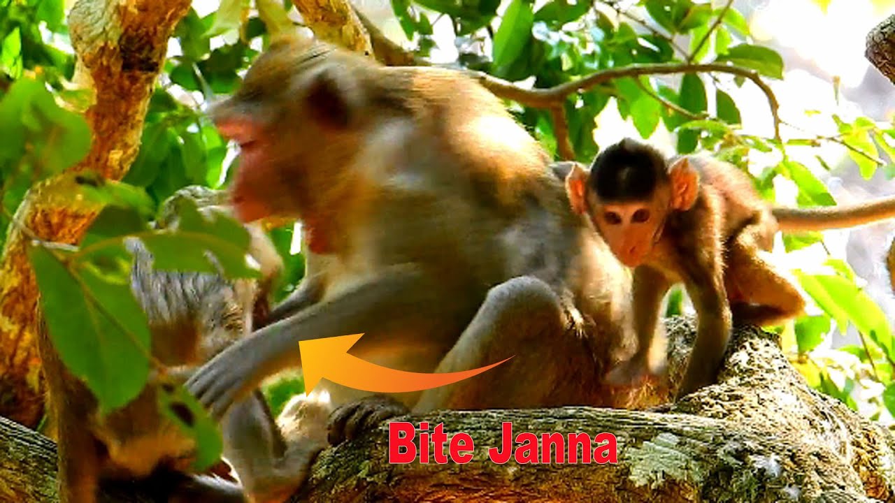 God help Janna / Mom Jane beat horrible brat daughter monkey Janna till run away with cry